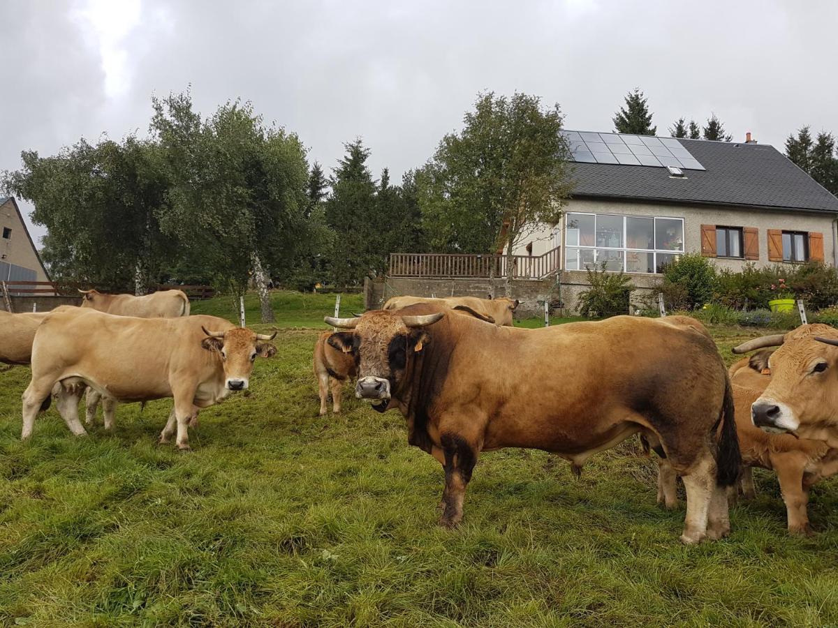 Bed and Breakfast Horizon Aubrac Лайоль Экстерьер фото