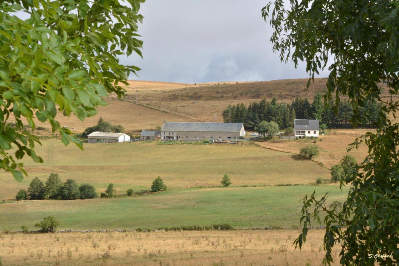 Bed and Breakfast Horizon Aubrac Лайоль Экстерьер фото